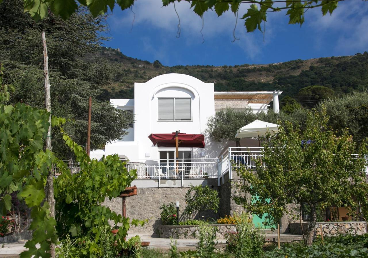 Villa Romano, Anacapri Anacapri (Isola di Capri) Exterior foto