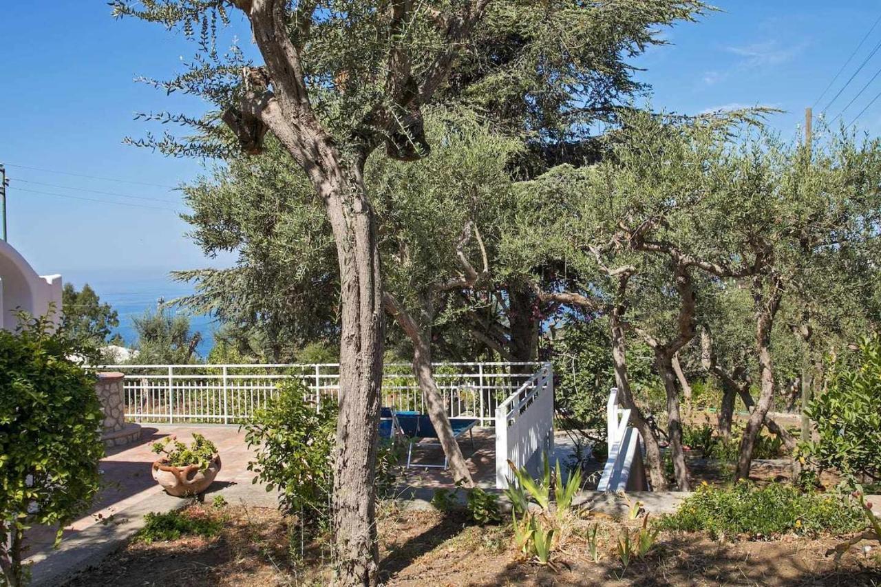 Villa Romano, Anacapri Anacapri (Isola di Capri) Exterior foto